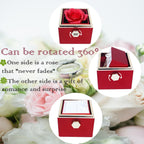 Double Heart Engraved Necklace with Gift Box