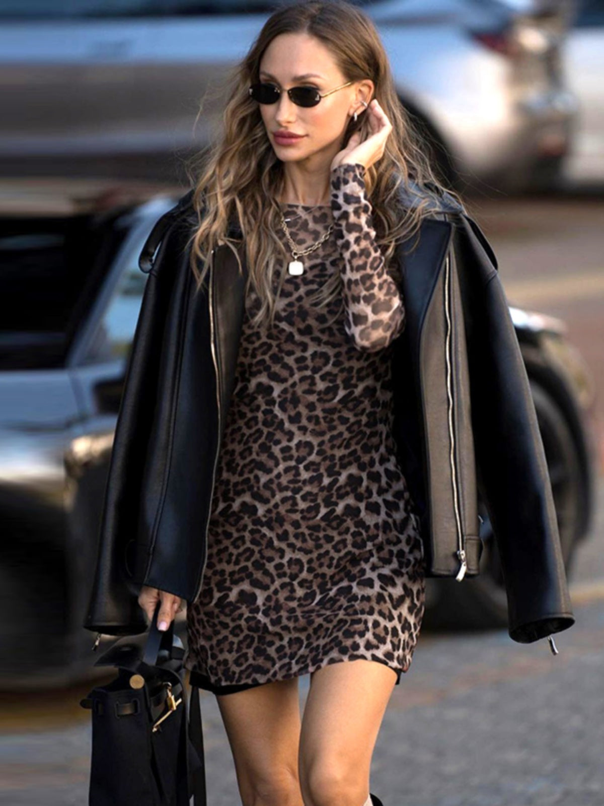 Shemoda Mesh Leopard Print Two-Piece Dress Set