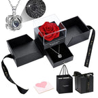 Heart-shaped Zircon Projection Necklace