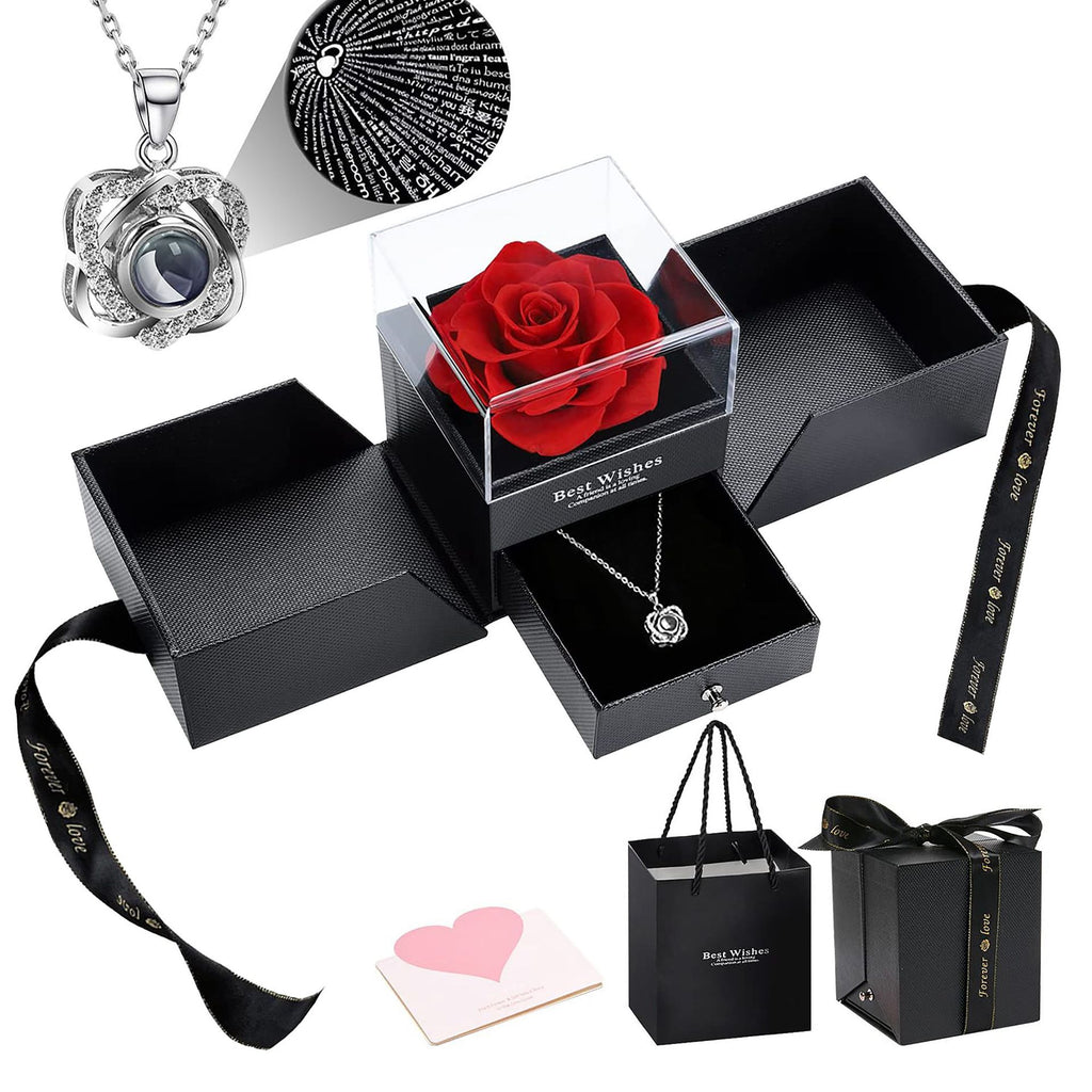 Heart-shaped Zircon Projection Necklace